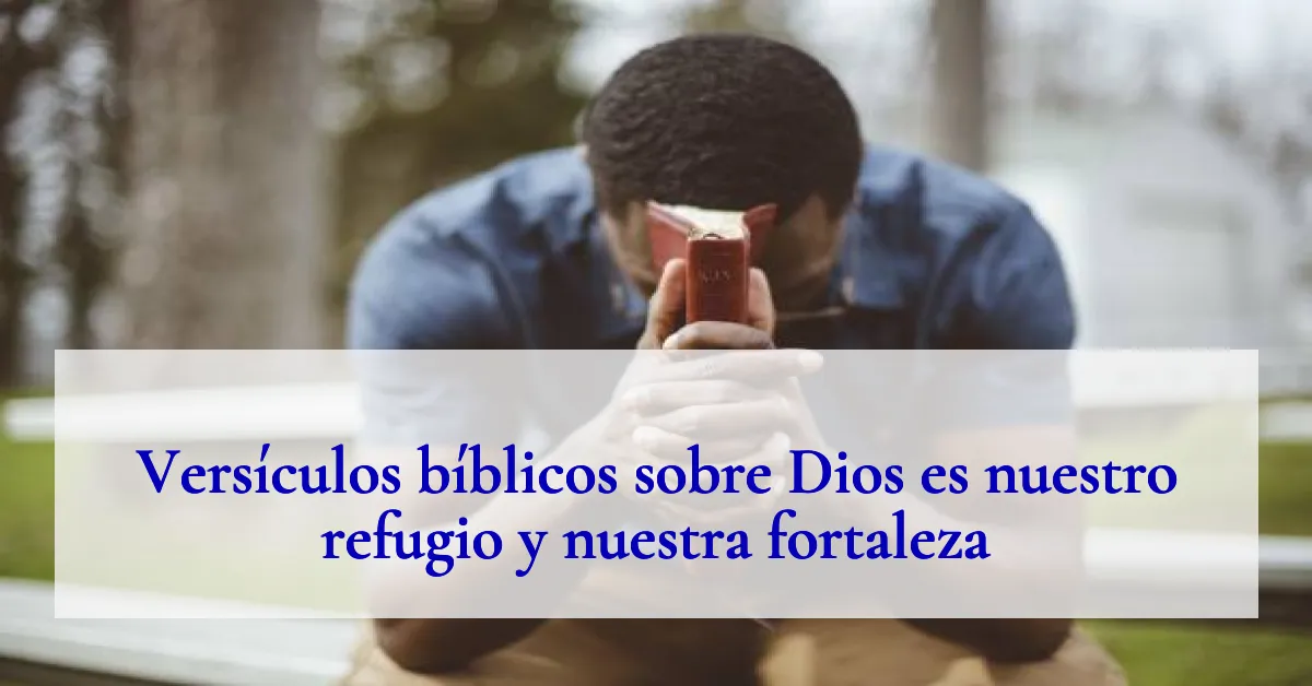 Versículos bíblicos sobre Dios es nuestro refugio y nuestra fortaleza