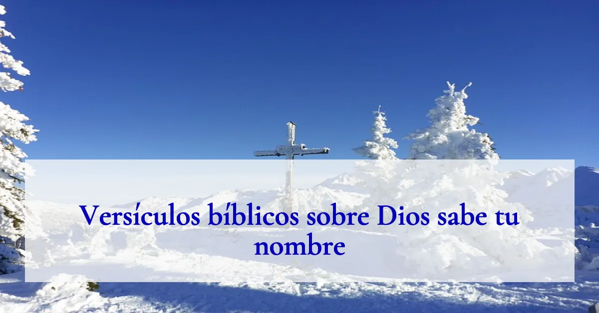 Versículos bíblicos sobre Dios sabe tu nombre