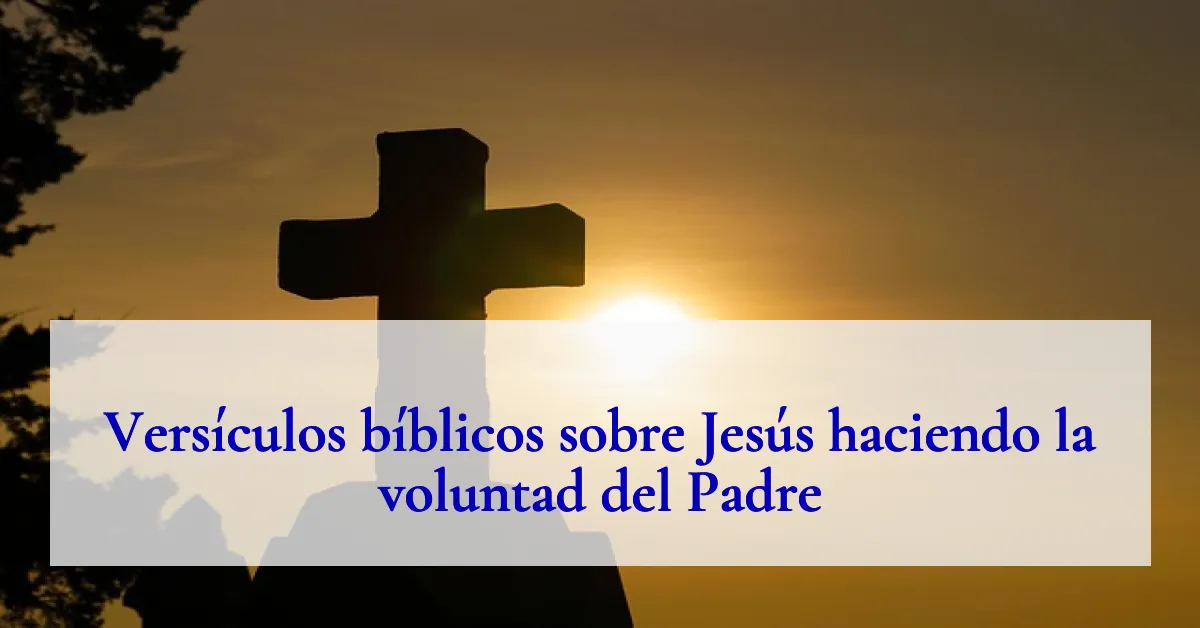 Versículos bíblicos sobre Jesús haciendo la voluntad del Padre
