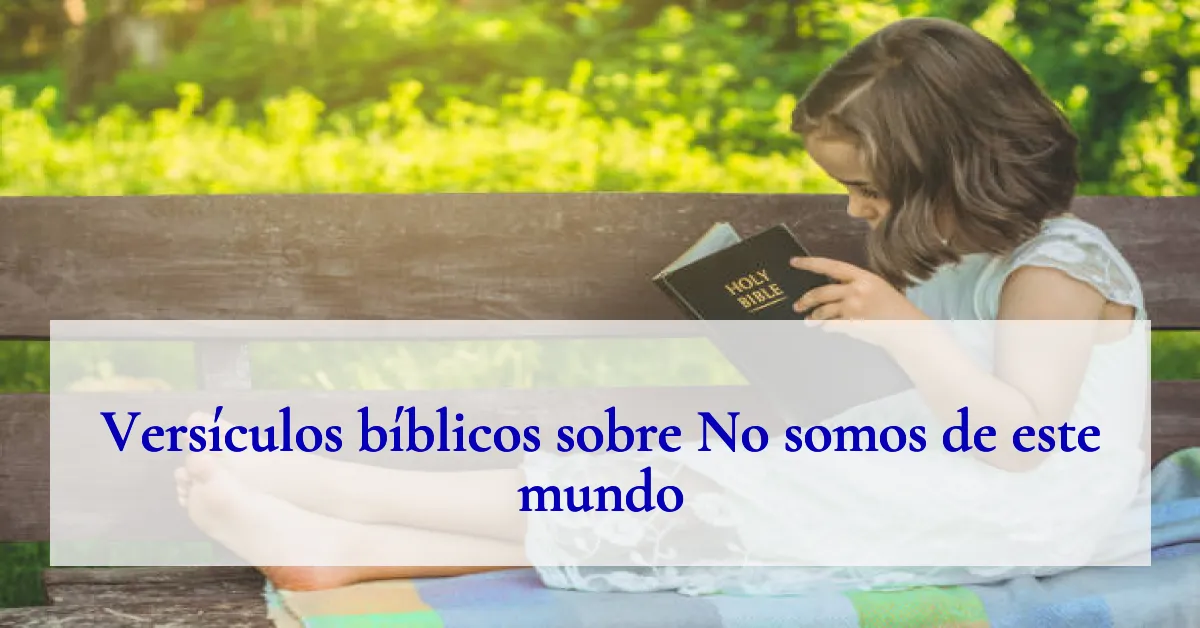 Versículos bíblicos sobre No somos de este mundo