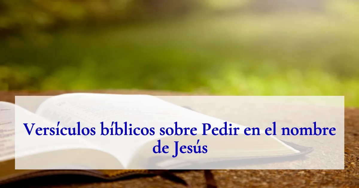 Versículos bíblicos sobre Pedir en el nombre de Jesús