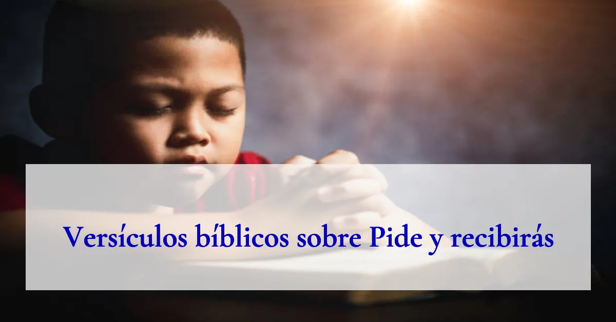 Versículos bíblicos sobre Pide y recibirás