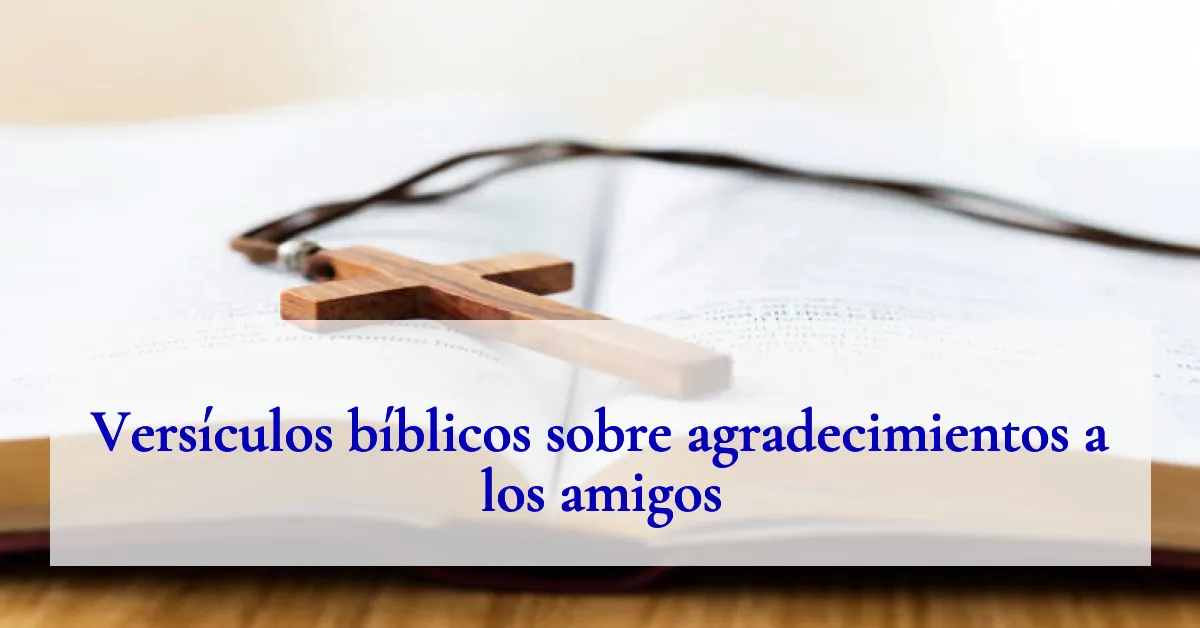 Versículos bíblicos sobre agradecimientos a los amigos