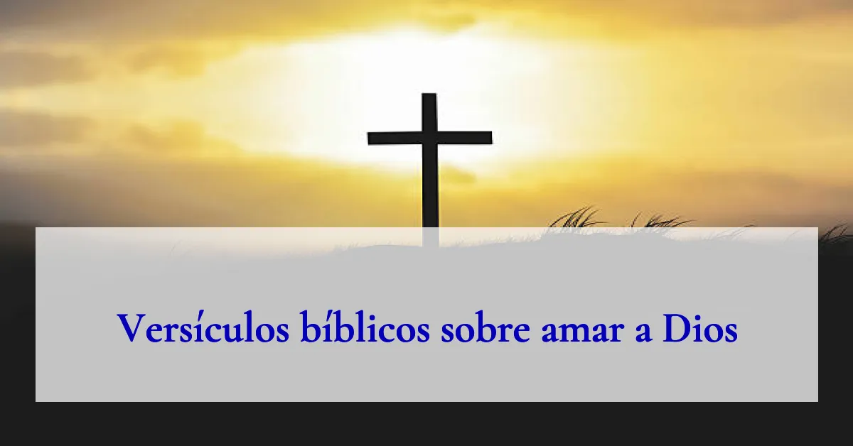 Versículos bíblicos sobre amar a Dios