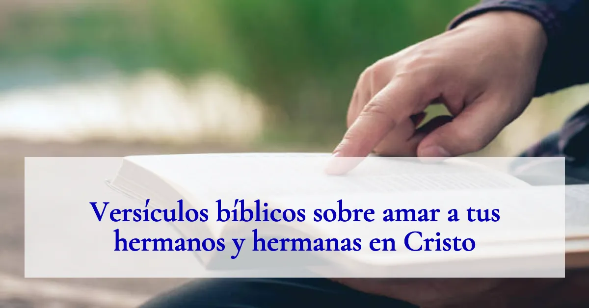 Versículos bíblicos sobre amar a tus hermanos y hermanas en Cristo
