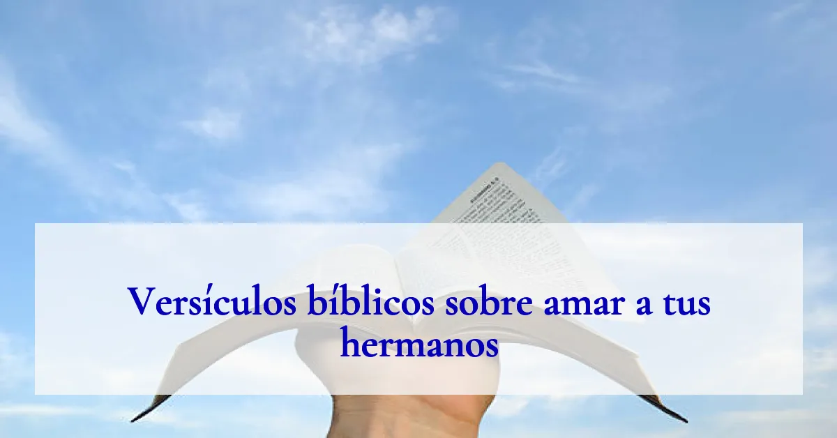 Versículos bíblicos sobre amar a tus hermanos