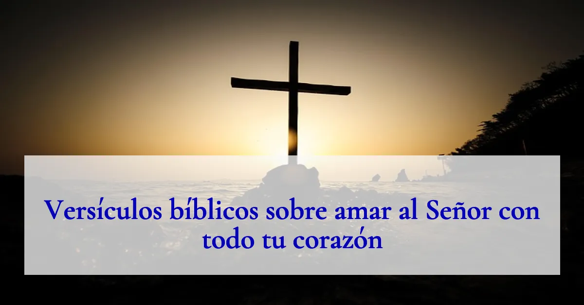 Versículos bíblicos sobre amar al Señor con todo tu corazón
