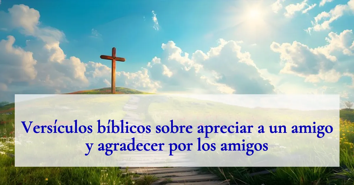 Versículos bíblicos sobre apreciar a un amigo y agradecer por los amigos