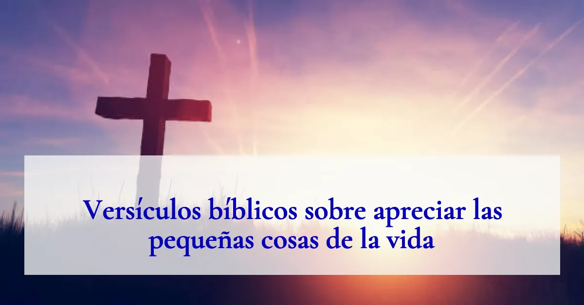 Versículos bíblicos sobre apreciar las pequeñas cosas de la vida