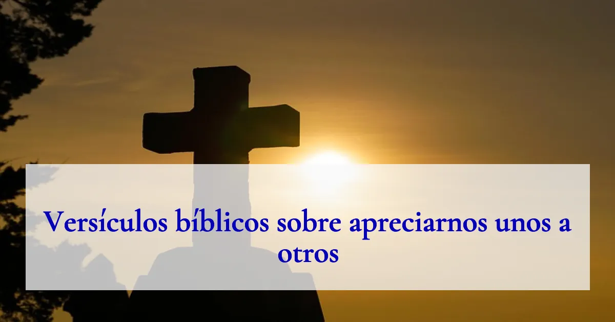 Versículos bíblicos sobre apreciarnos unos a otros
