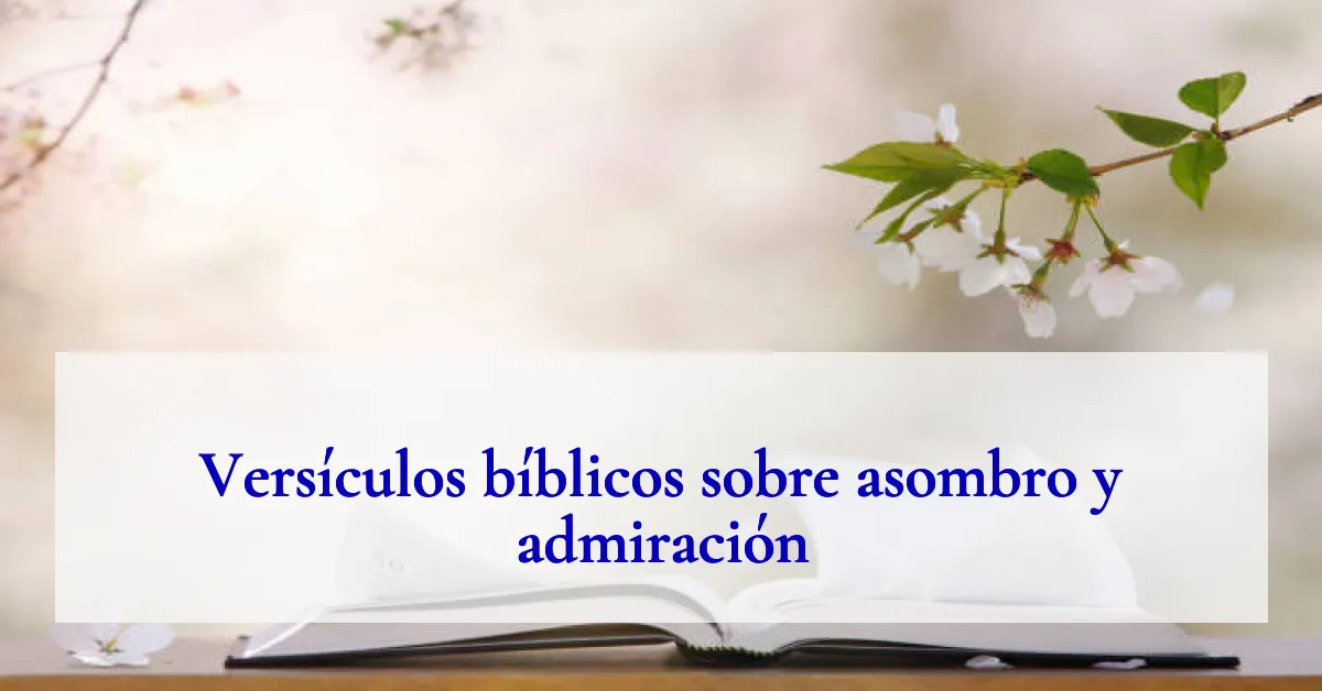 Versículos bíblicos sobre asombro y admiración