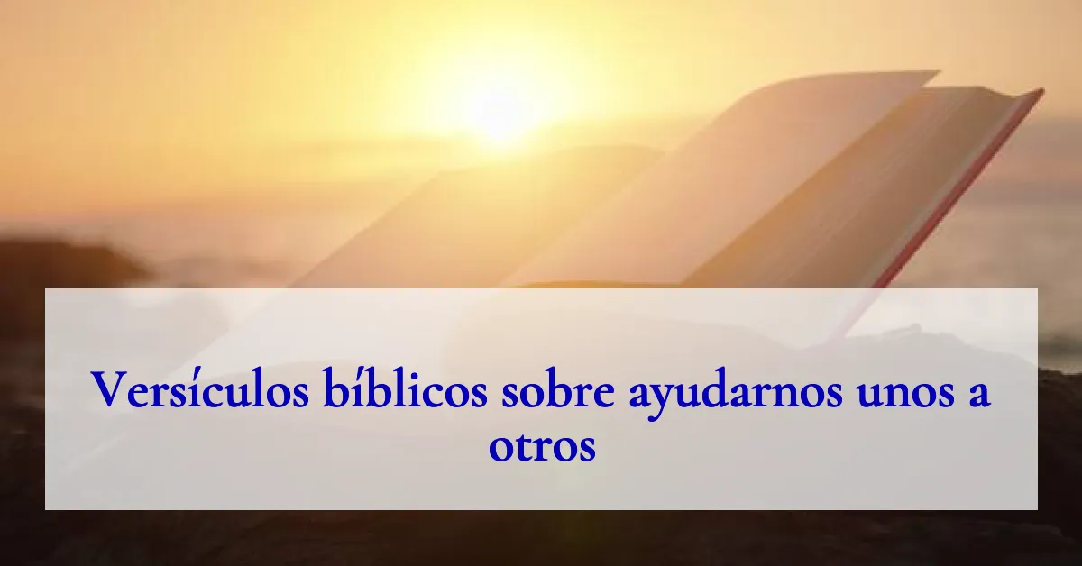 Versículos bíblicos sobre ayudarnos unos a otros