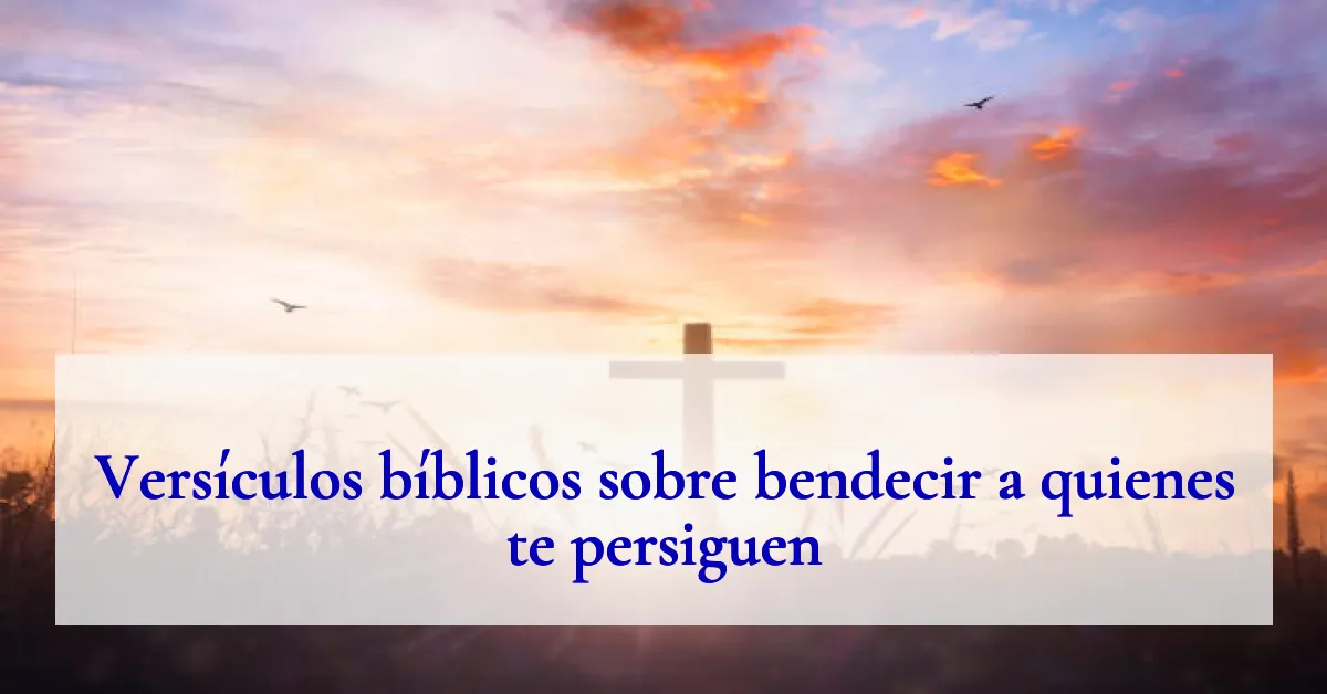 Versículos bíblicos sobre bendecir a quienes te persiguen