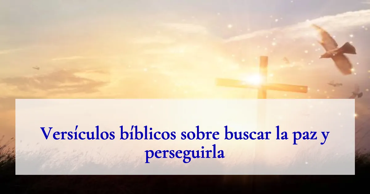 Versículos bíblicos sobre buscar la paz y perseguirla