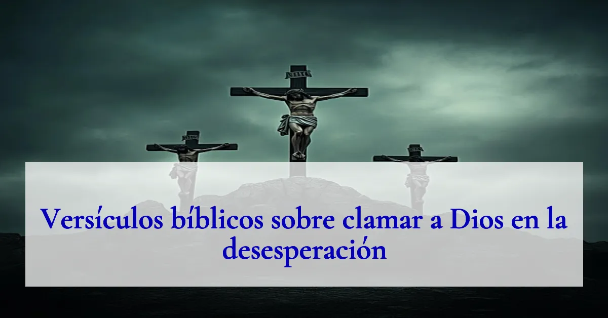 Versículos bíblicos sobre clamar a Dios en la desesperación