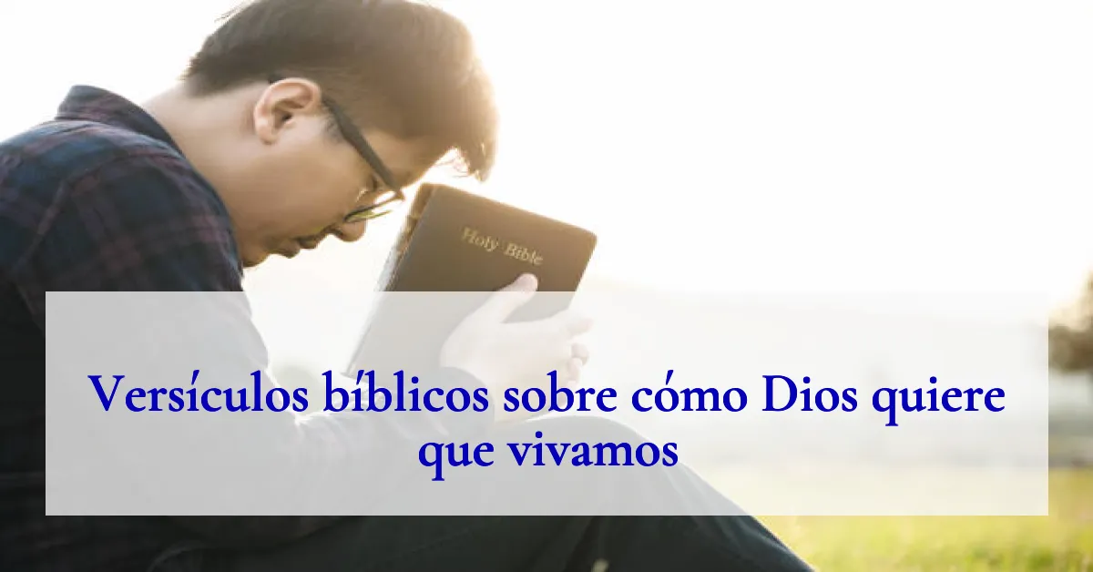Versículos bíblicos sobre cómo Dios quiere que vivamos