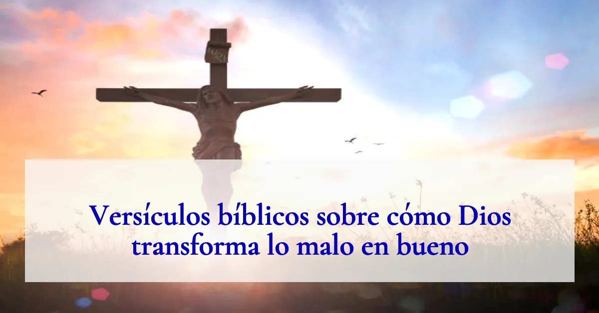 Versículos bíblicos sobre cómo Dios transforma lo malo en bueno