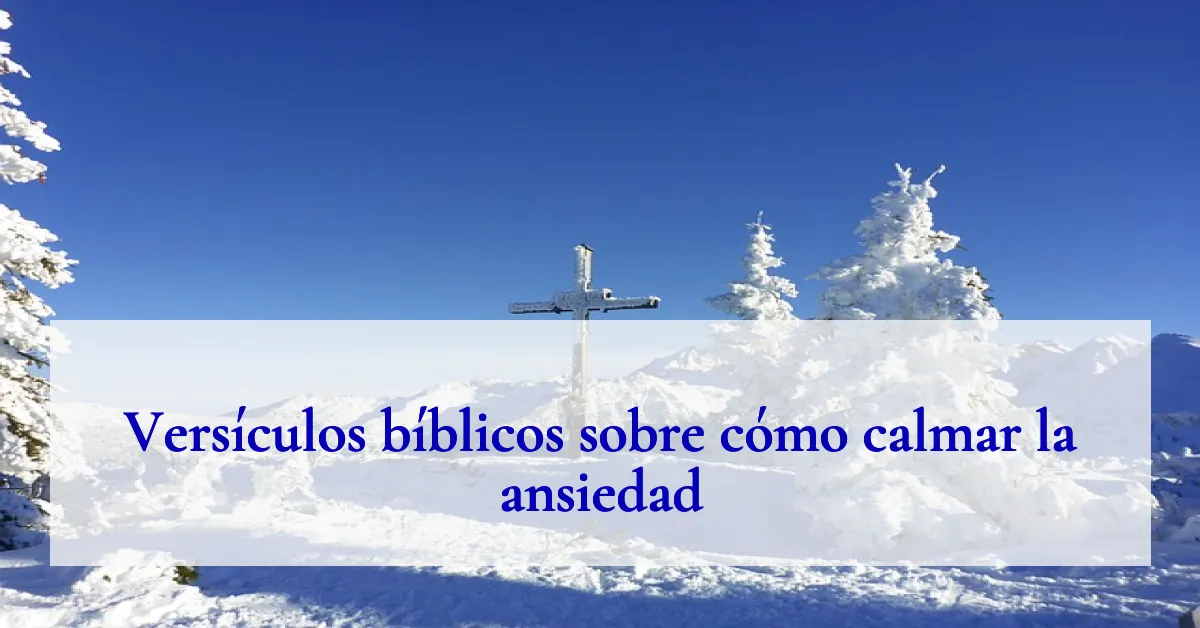 Versículos bíblicos sobre cómo calmar la ansiedad