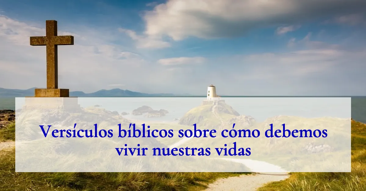 Versículos bíblicos sobre cómo debemos vivir nuestras vidas
