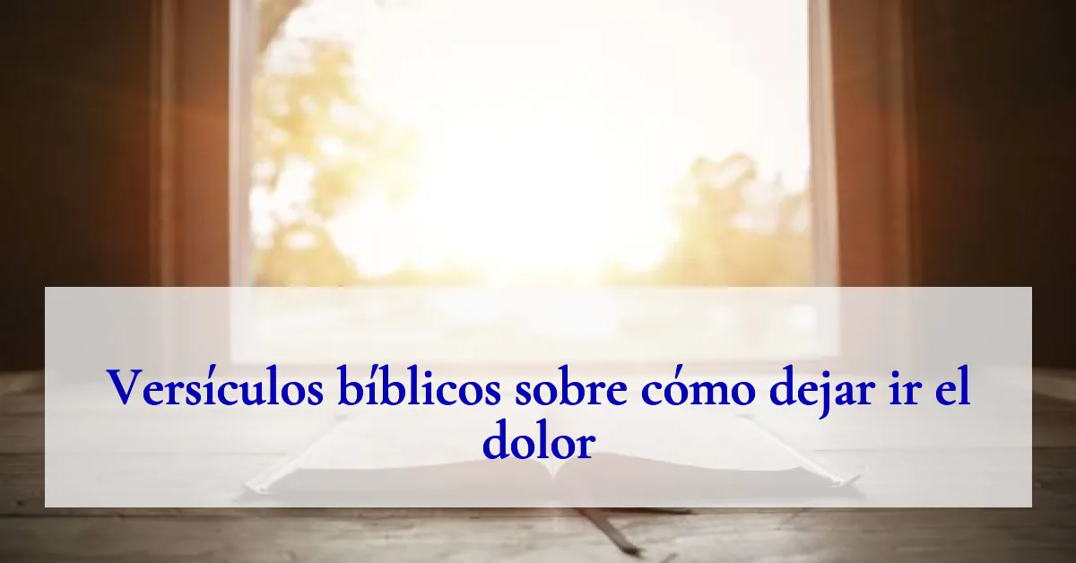 Versículos bíblicos sobre cómo dejar ir el dolor