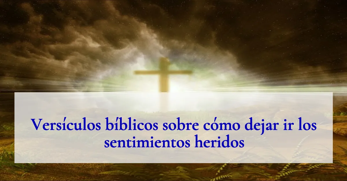 Versículos bíblicos sobre cómo dejar ir los sentimientos heridos