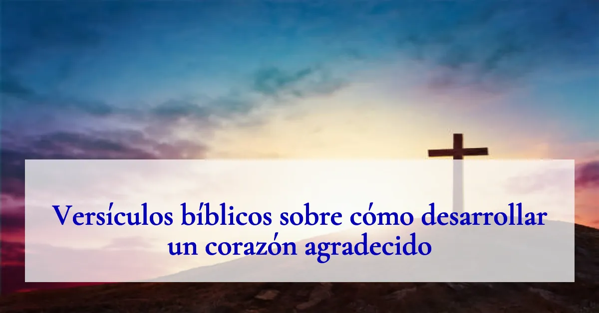 Versículos bíblicos sobre cómo desarrollar un corazón agradecido