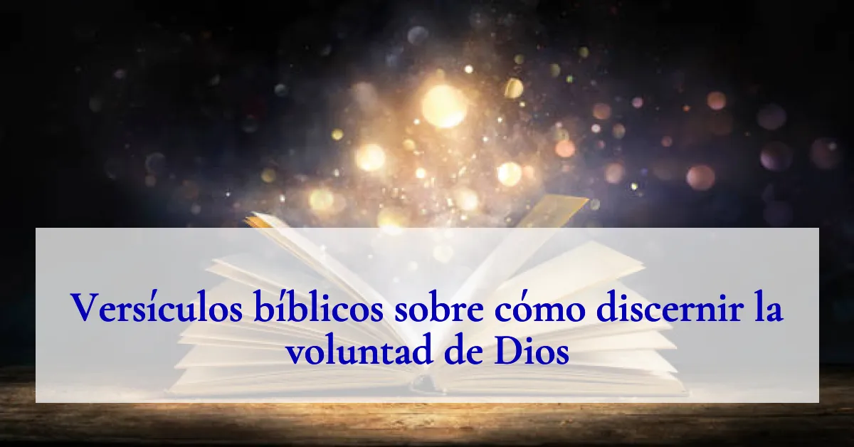 Versículos bíblicos sobre cómo discernir la voluntad de Dios