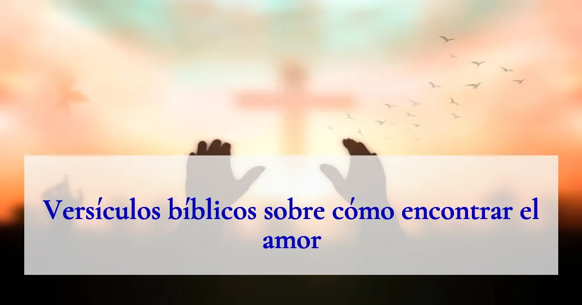 Versículos bíblicos sobre cómo encontrar el amor