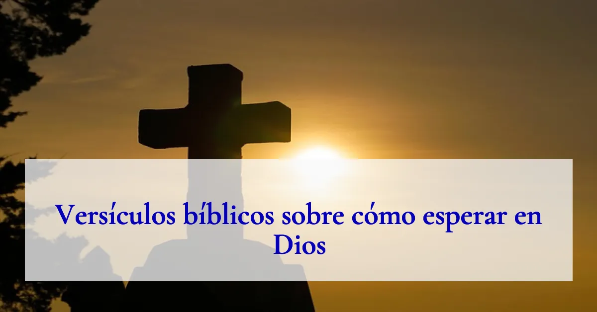 Versículos bíblicos sobre cómo esperar en Dios