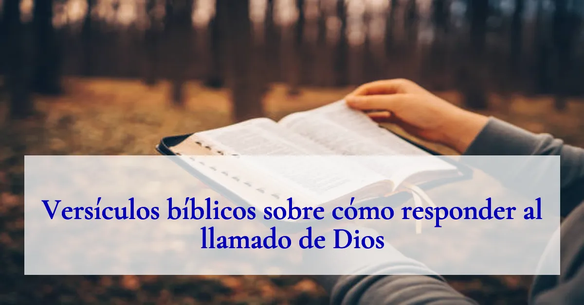 Versículos bíblicos sobre cómo responder al llamado de Dios