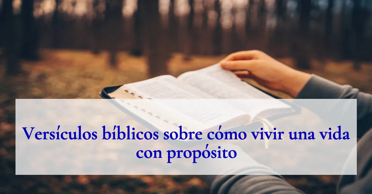 Versículos bíblicos sobre cómo vivir una vida con propósito