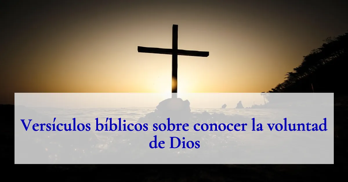 Versículos bíblicos sobre conocer la voluntad de Dios