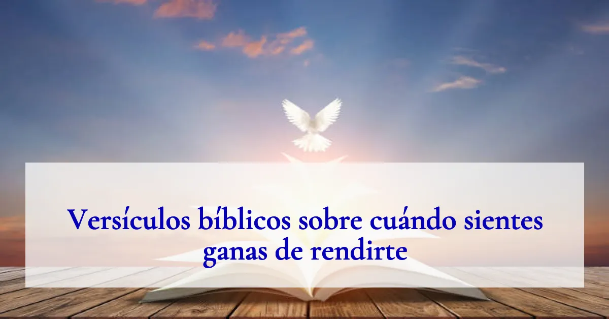 Versículos bíblicos sobre cuándo sientes ganas de rendirte
