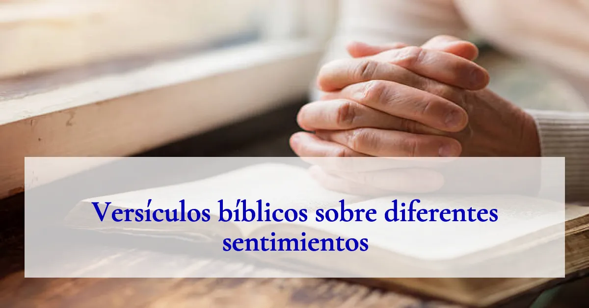 Versículos bíblicos sobre diferentes sentimientos