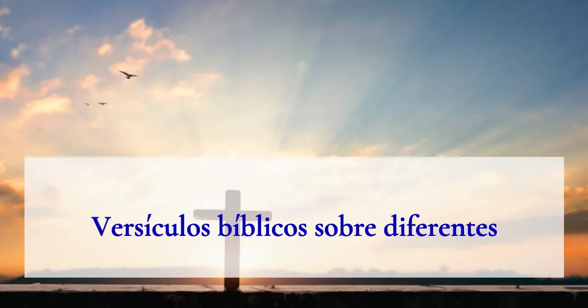 Versículos bíblicos sobre diferentes