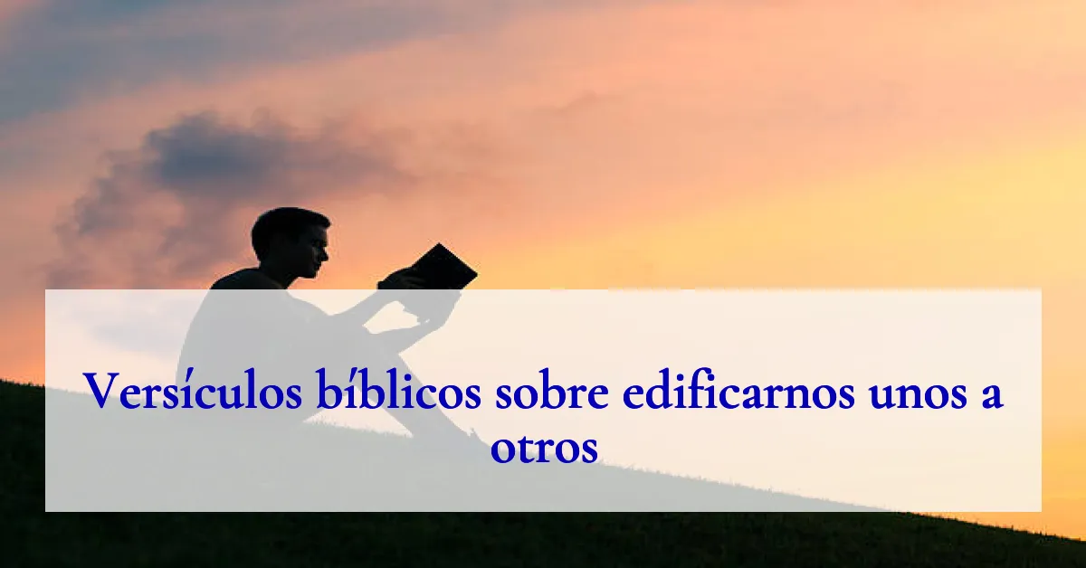 Versículos bíblicos sobre edificarnos unos a otros