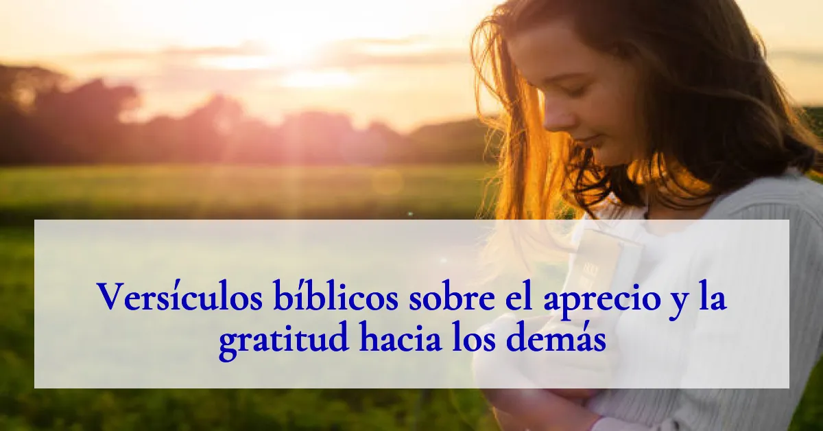Versículos bíblicos sobre el aprecio y la gratitud hacia los demás