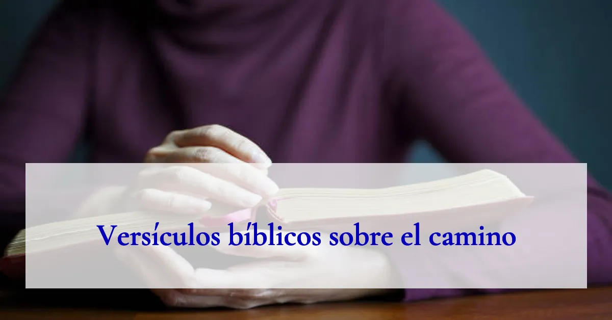 Versículos bíblicos sobre el camino