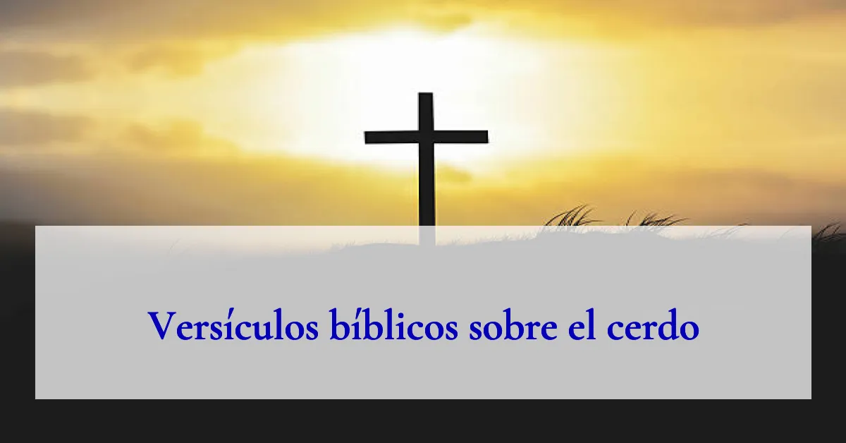 Versículos bíblicos sobre el cerdo