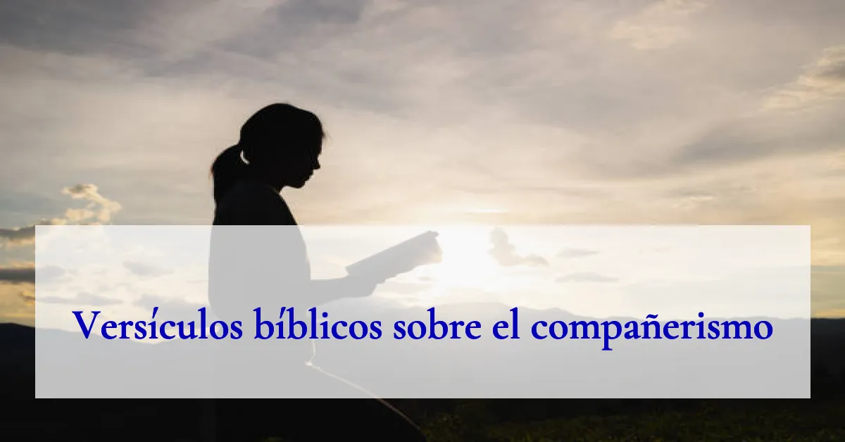 Versículos bíblicos sobre el compañerismo