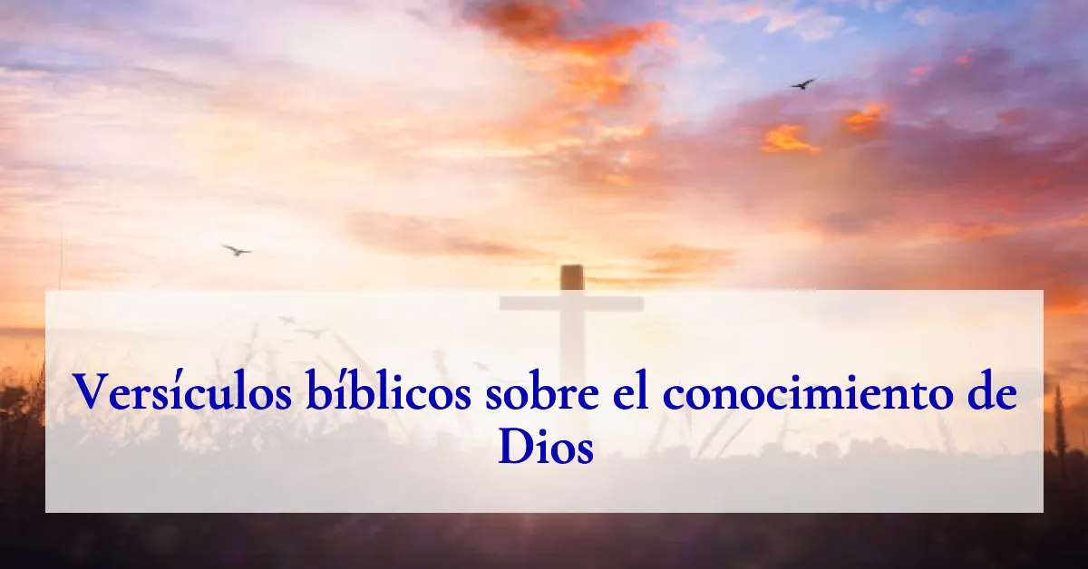 Versículos bíblicos sobre el conocimiento de Dios