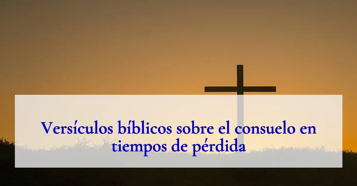 Versículos bíblicos sobre el consuelo en tiempos de pérdida