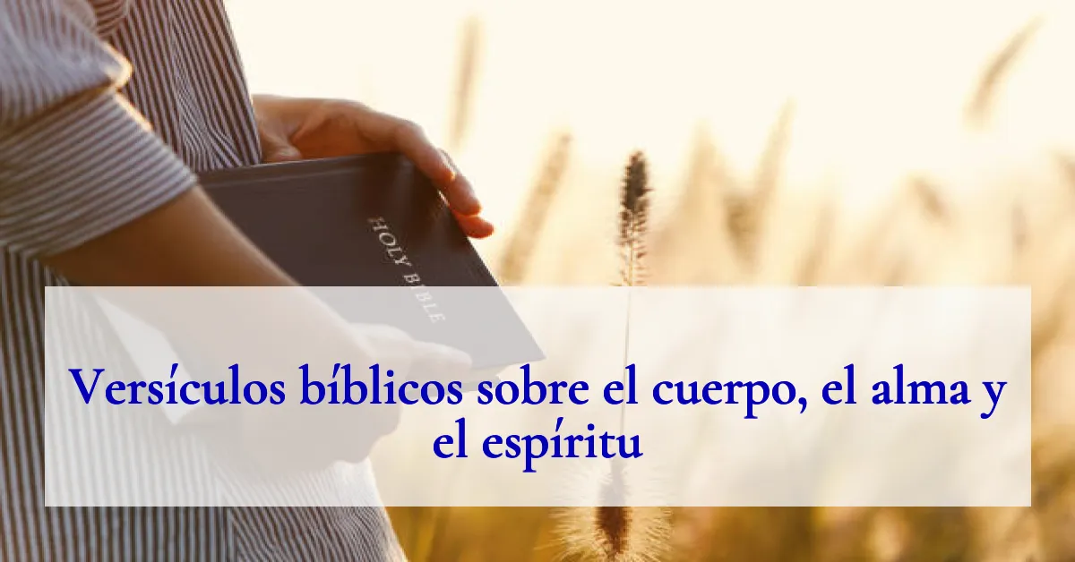 Versículos bíblicos sobre el cuerpo, el alma y el espíritu