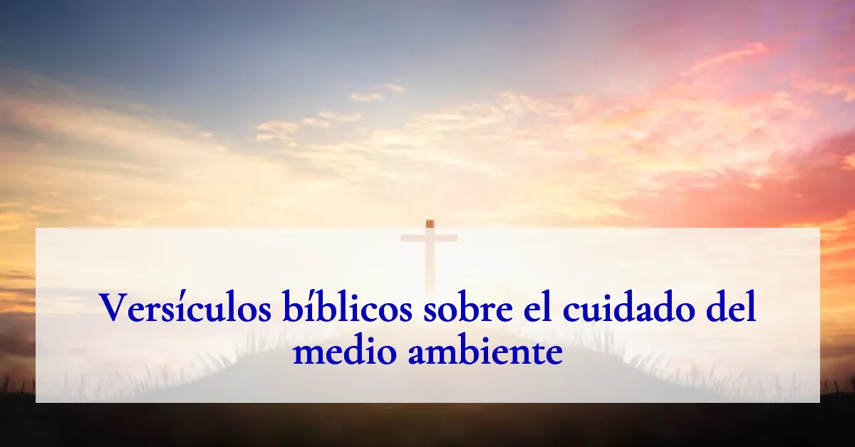 Versículos bíblicos sobre el cuidado del medio ambiente