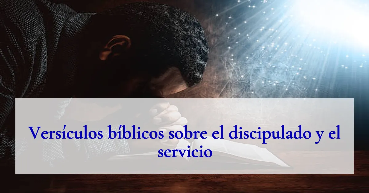 Versículos bíblicos sobre el discipulado y el servicio