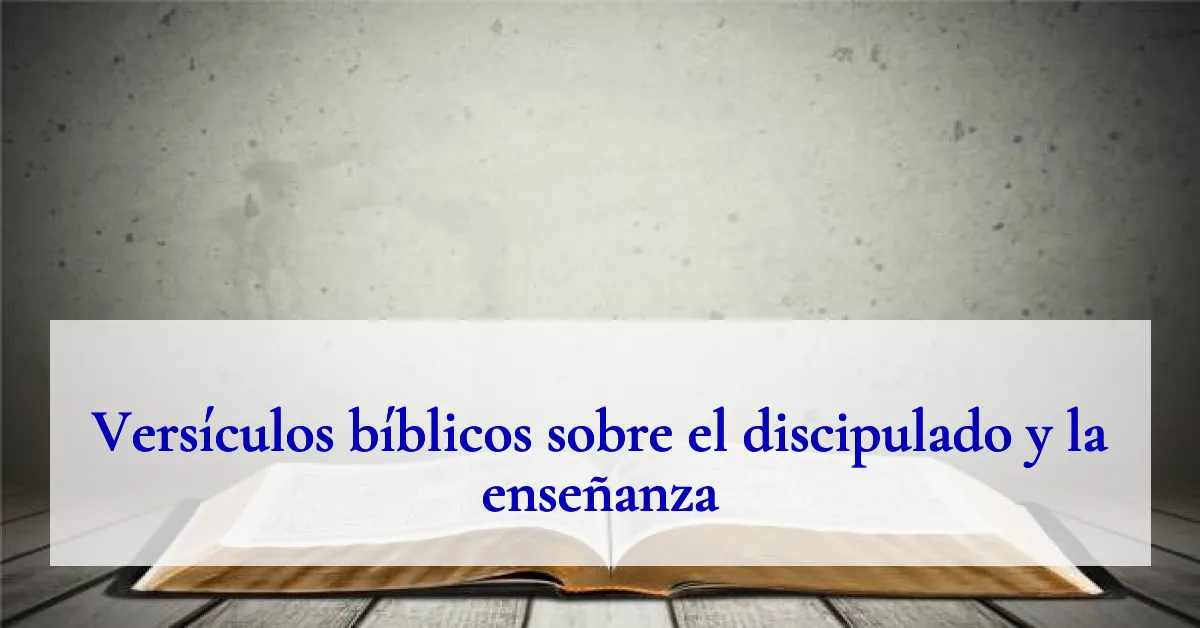 Versículos bíblicos sobre el discipulado y la enseñanza