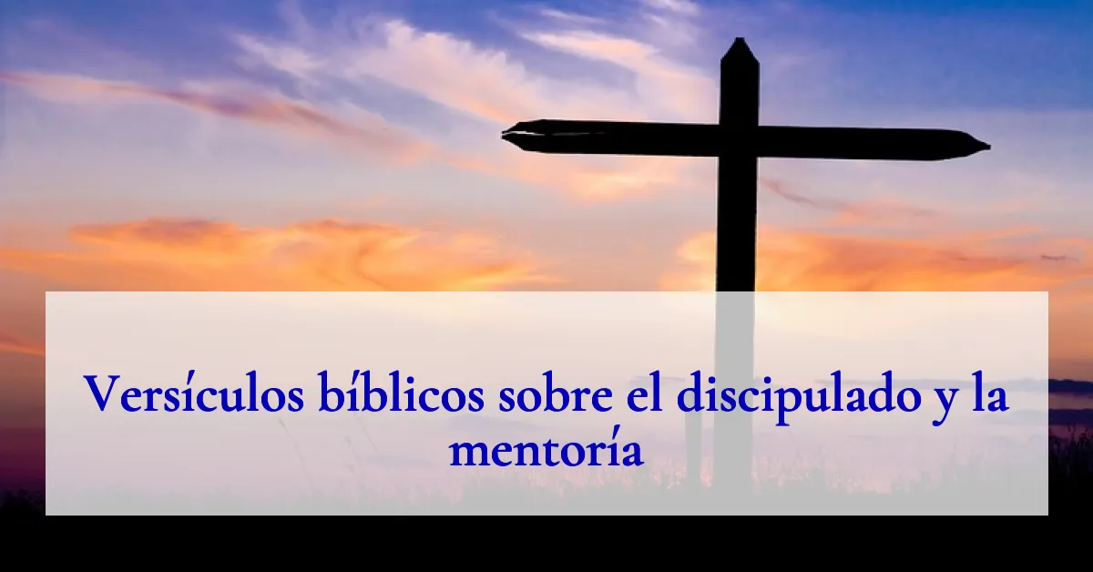 Versículos bíblicos sobre el discipulado y la mentoría