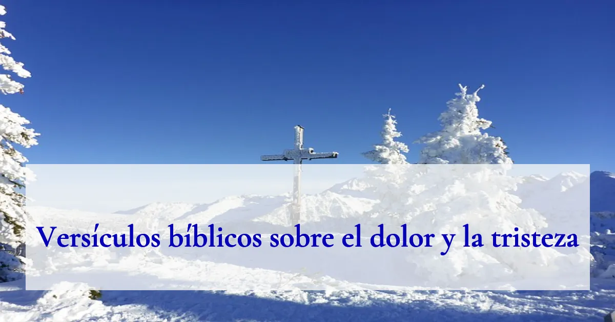 Versículos bíblicos sobre el dolor y la tristeza