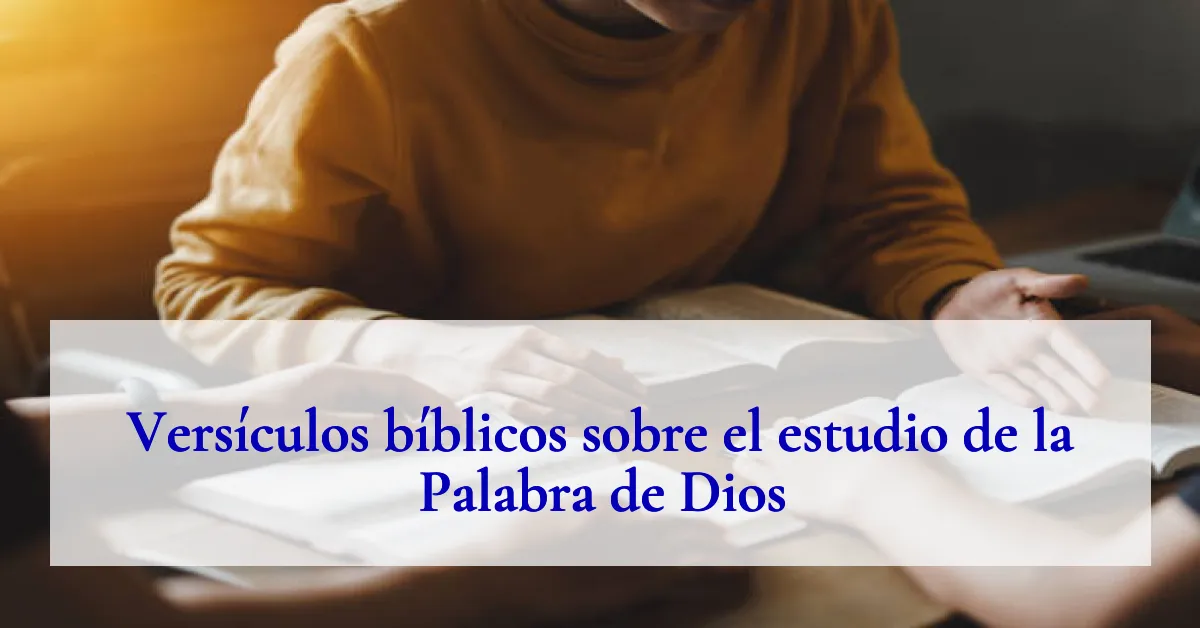 Versículos bíblicos sobre el estudio de la Palabra de Dios