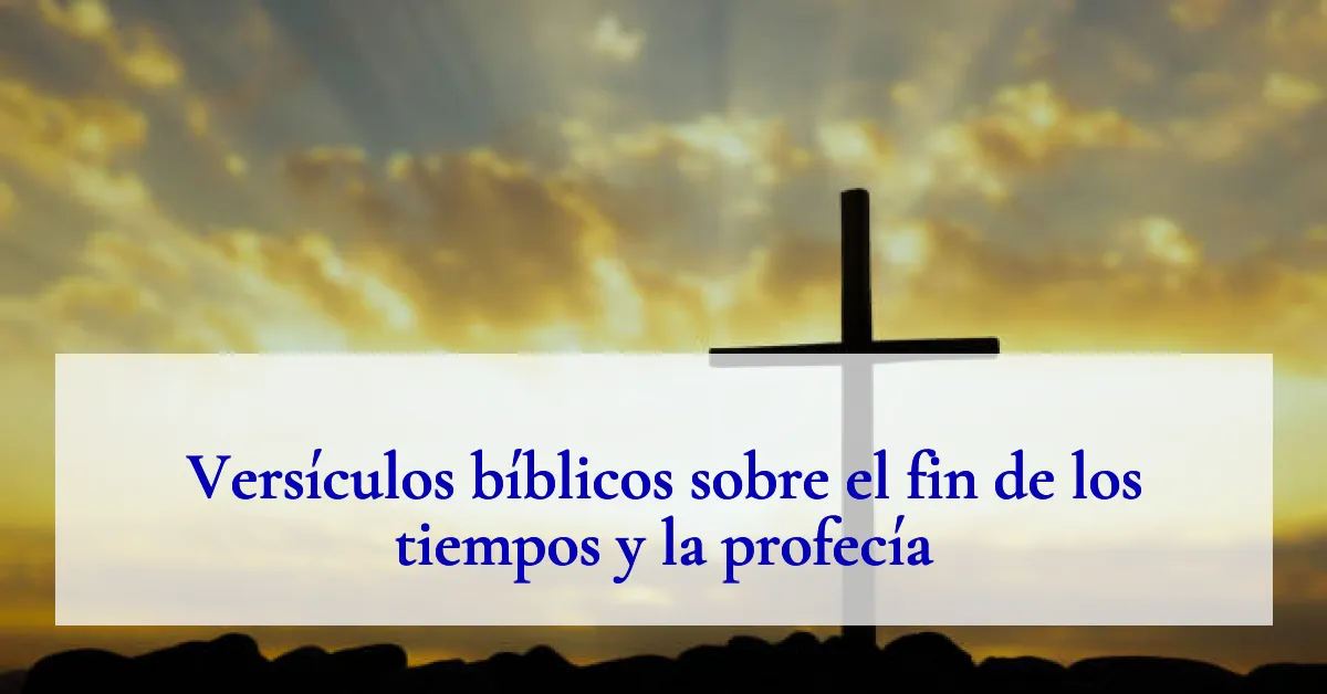 Versículos bíblicos sobre el fin de los tiempos y la profecía